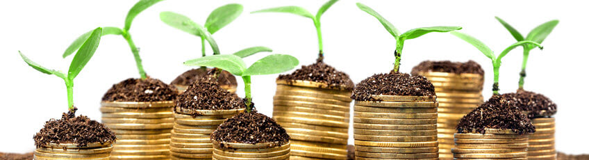 Photo of coins with plants growing out of the them