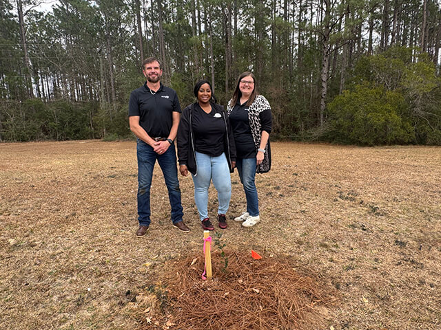 Mississippi Arbor Day