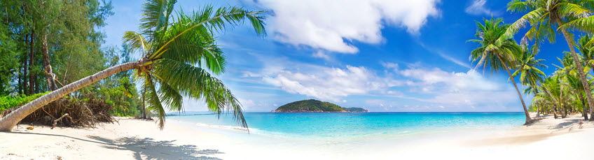 Photo of a beach with palm trees and an island