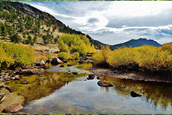 Colorado Rails and New Mexico Enchantment