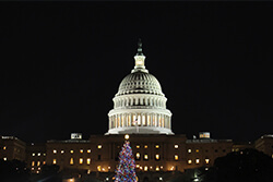 A Capitol Christmas in Washington DC!